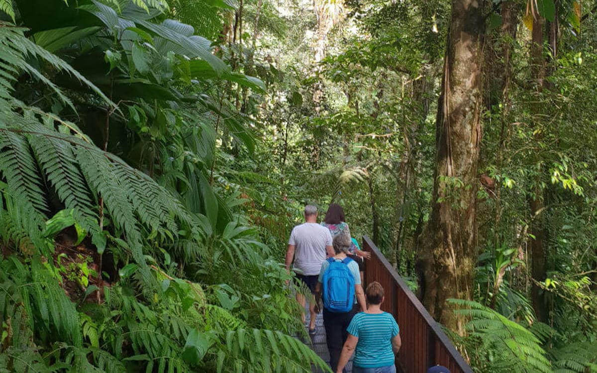 Wanderung durch den Regenwald
