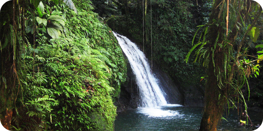 Guadeloupe, Ecrevisses Wasserfaelle,Bleupearl's Tour A - Paradiese von Basse-Terre